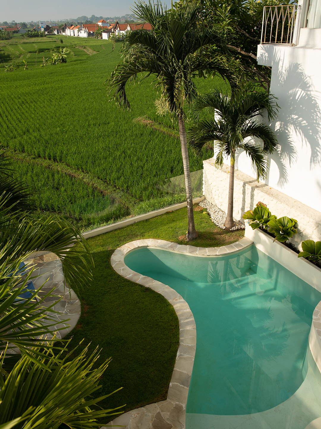 swimming pool near rice field