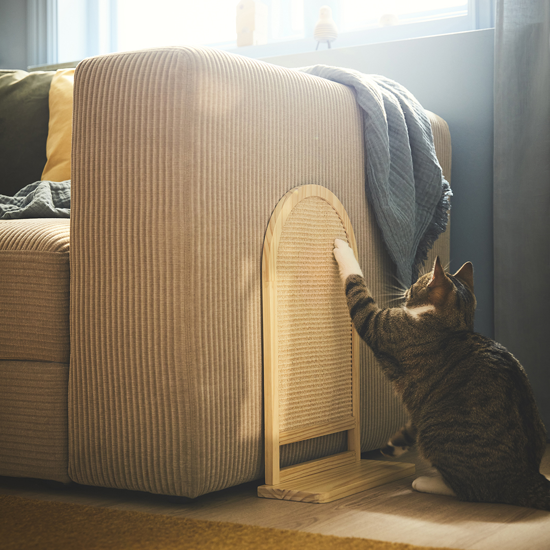 sofa scratching post