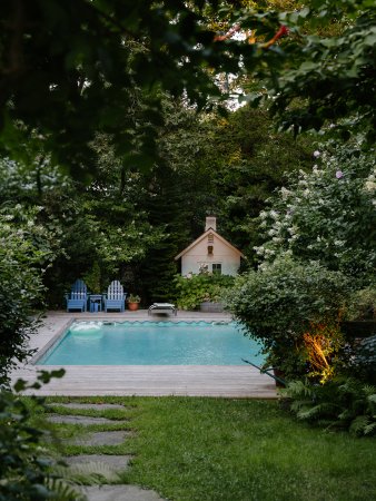 trees around a pool