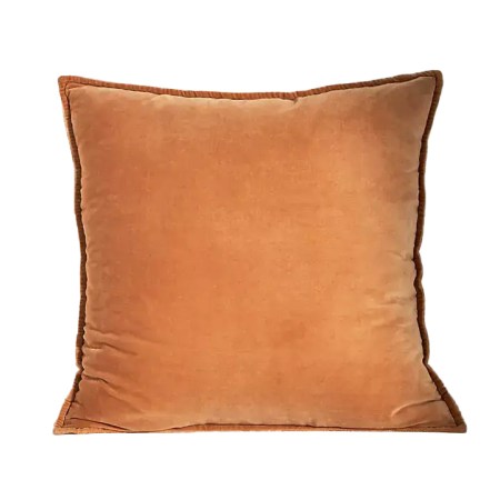  Anthro pillow in golden color