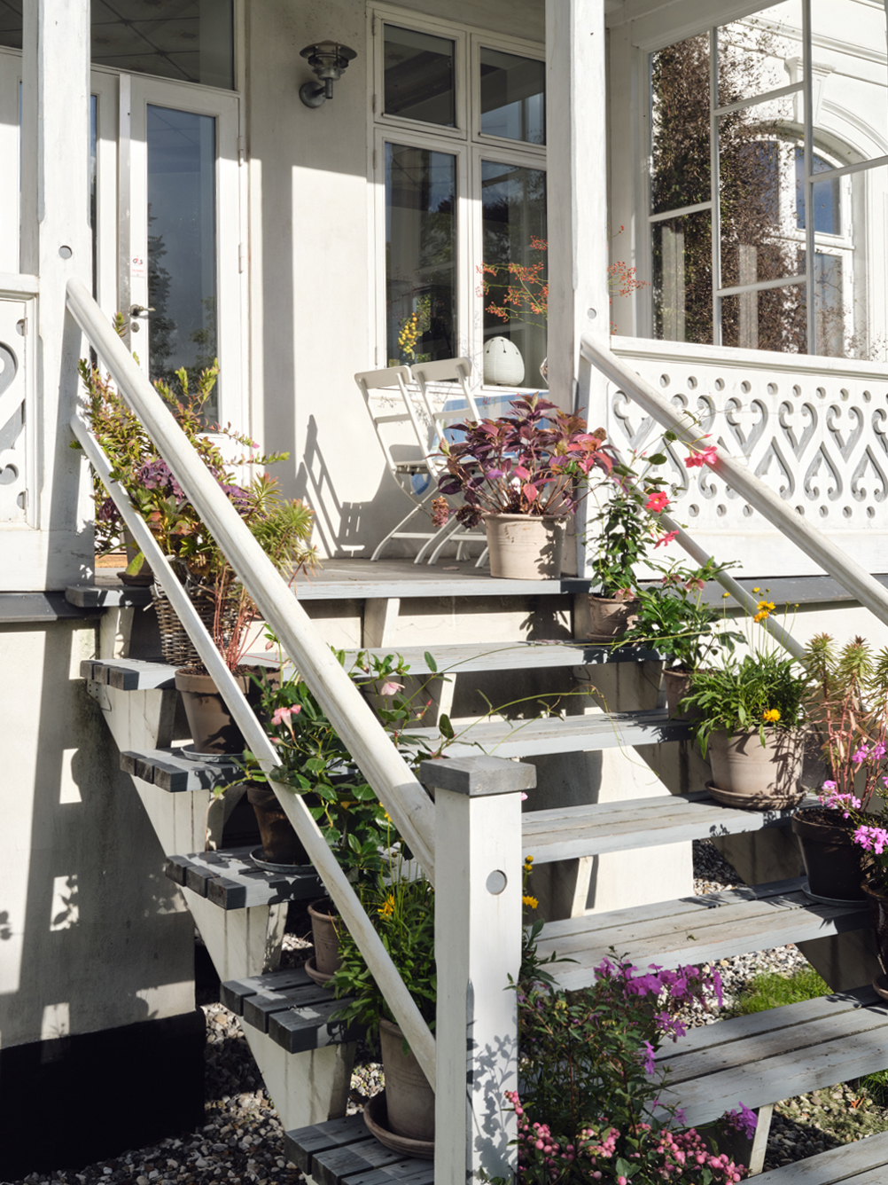 plants on steps