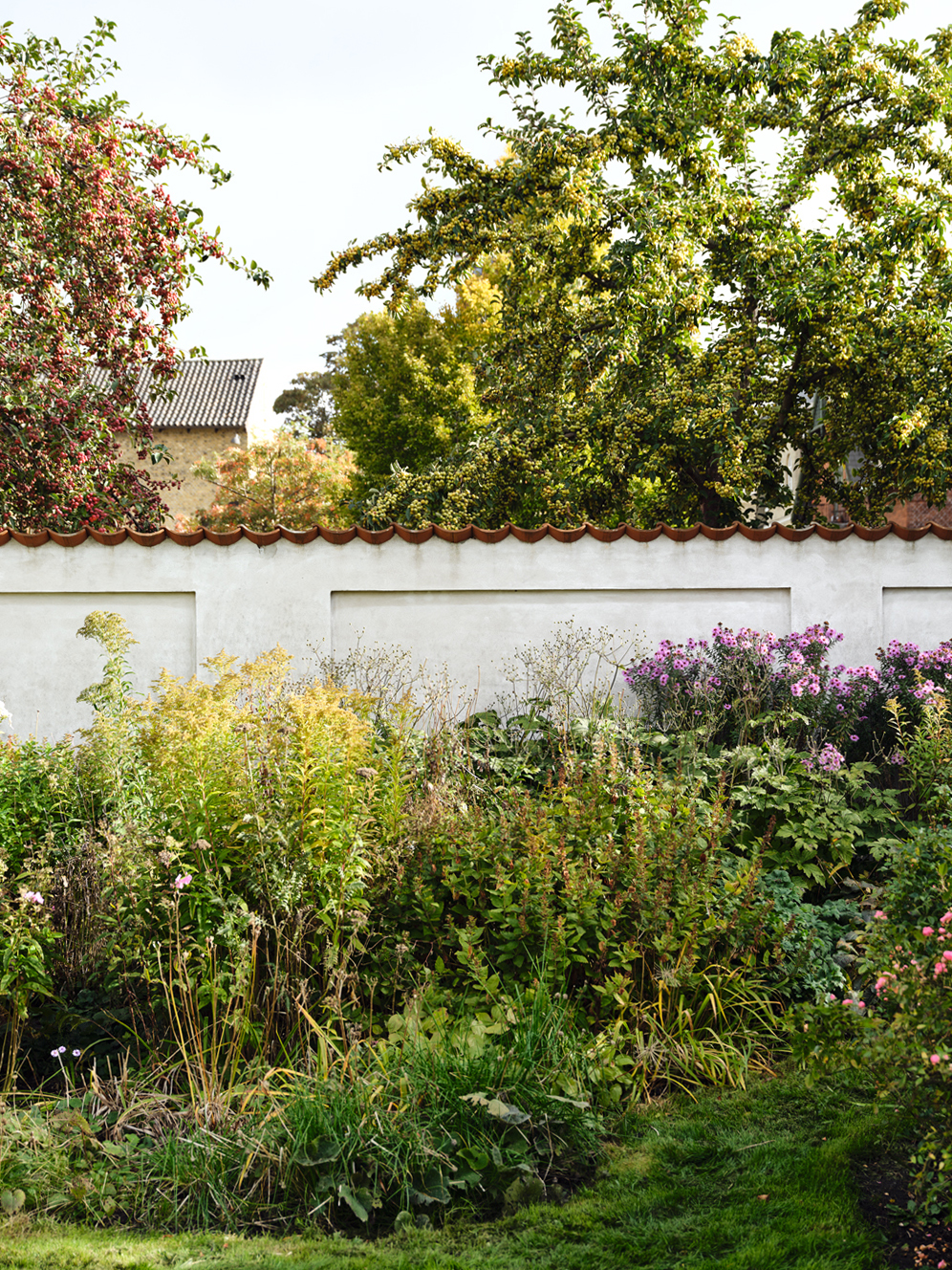 garden near fence