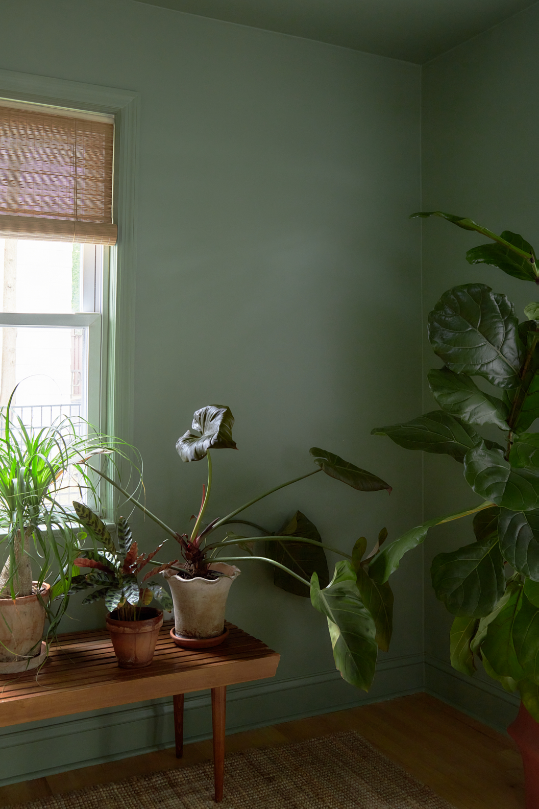 green sunroom with plants