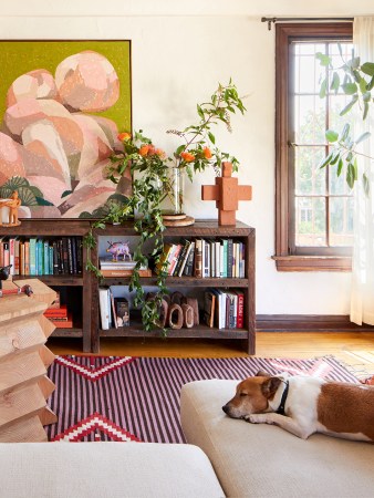 Living room with low bookshelf and dog dying on rug