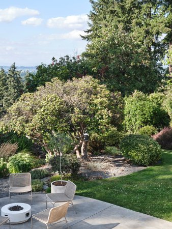 Backyard with trees and sitting area