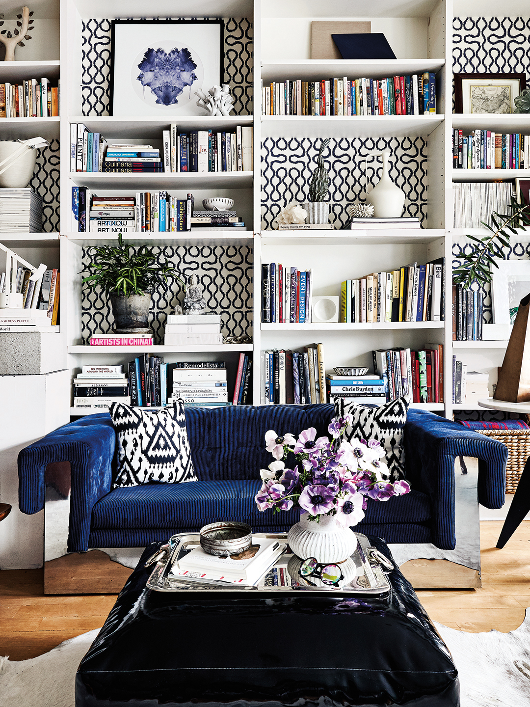 blue sofa in front of bookshelf