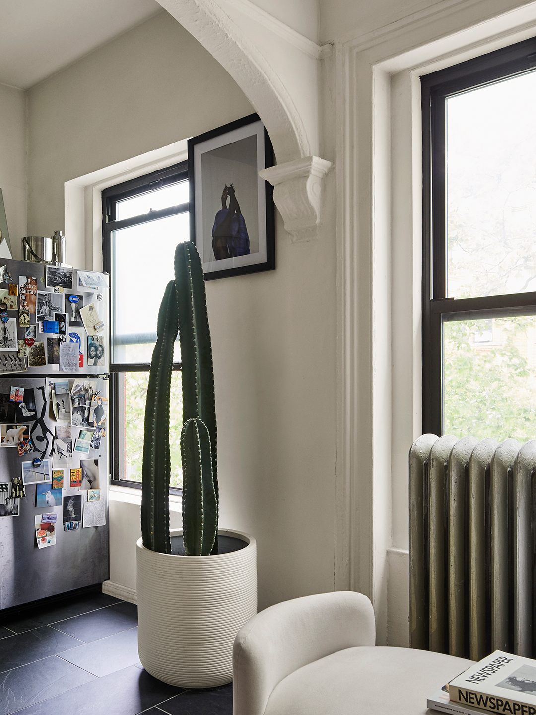 Tall cactus next to fridge in Brooklyn apartment