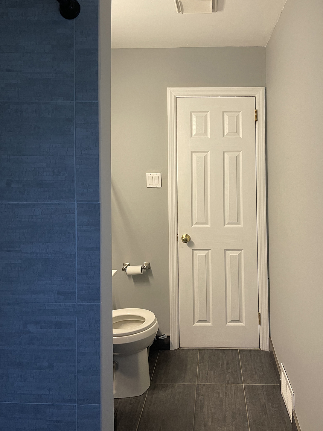 View of the toilet and the white door