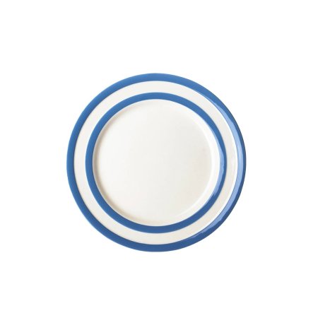  blue rimmed plate