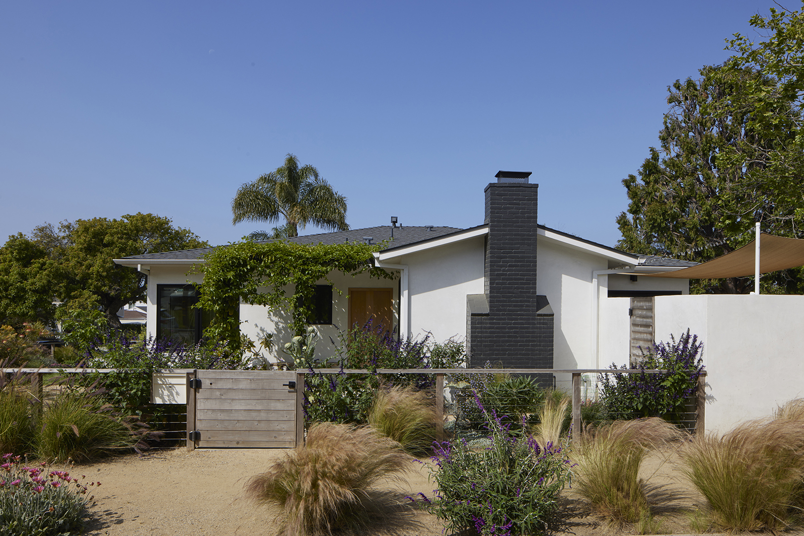 house with wild California landscaping