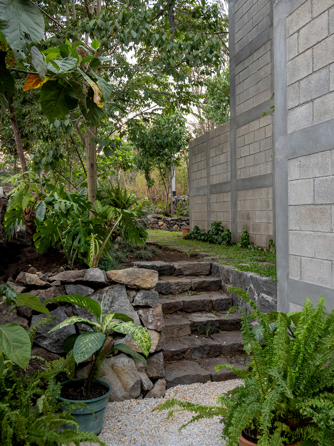 rock staircase in backyard