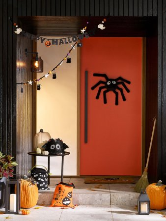 spider on door