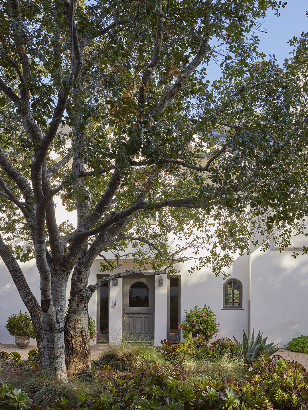 tree in front of spanish style house