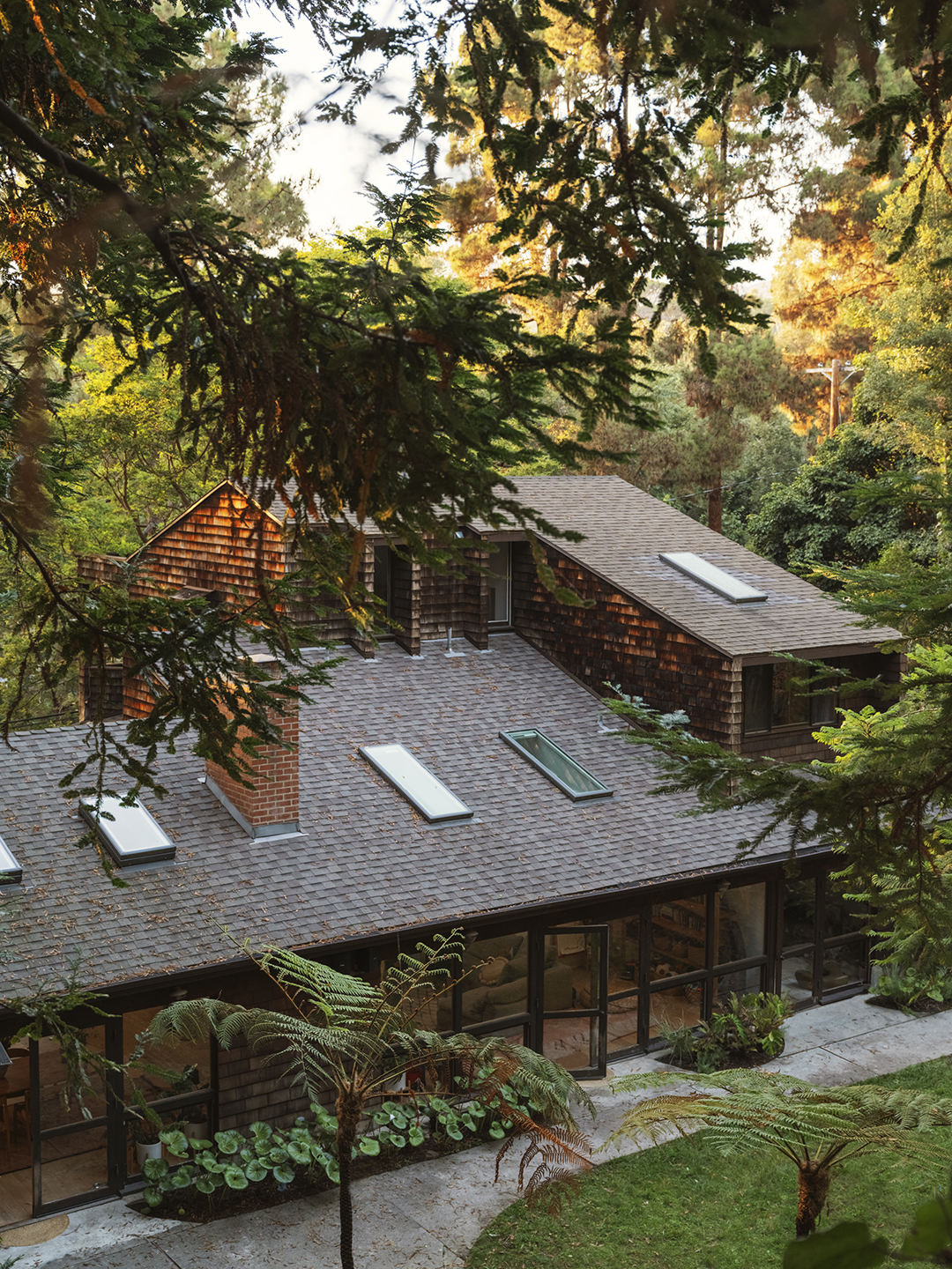 exterior of dark woodsy house