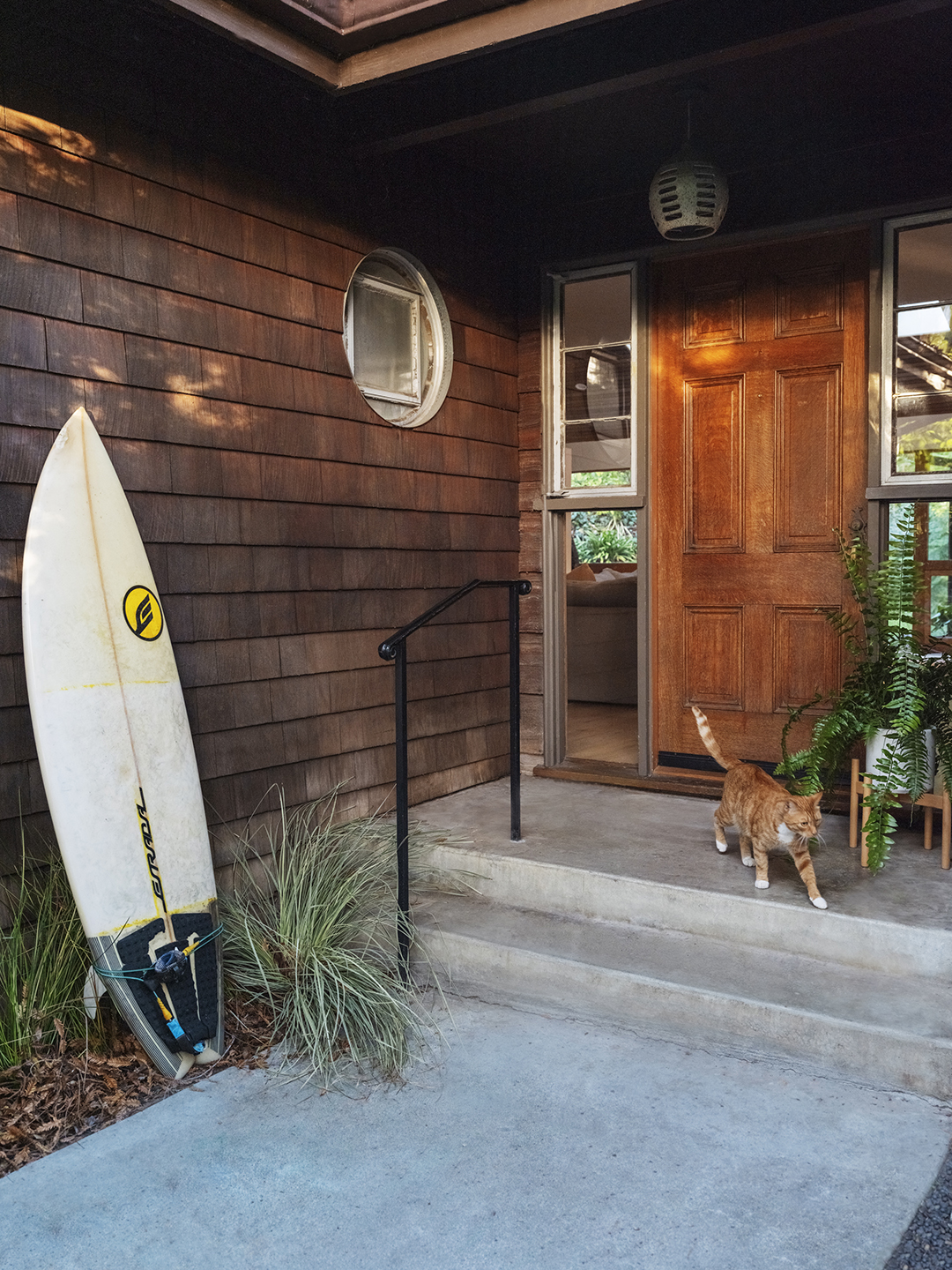 cat in front of front door