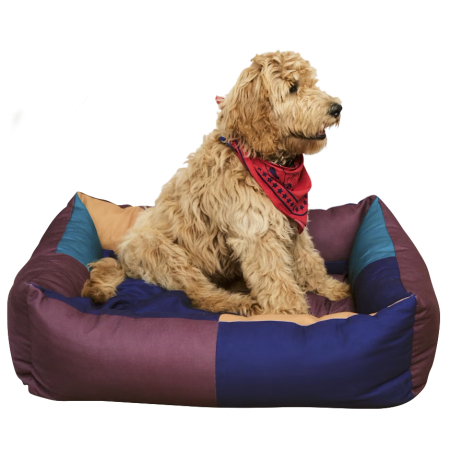  colorblocked dog bed