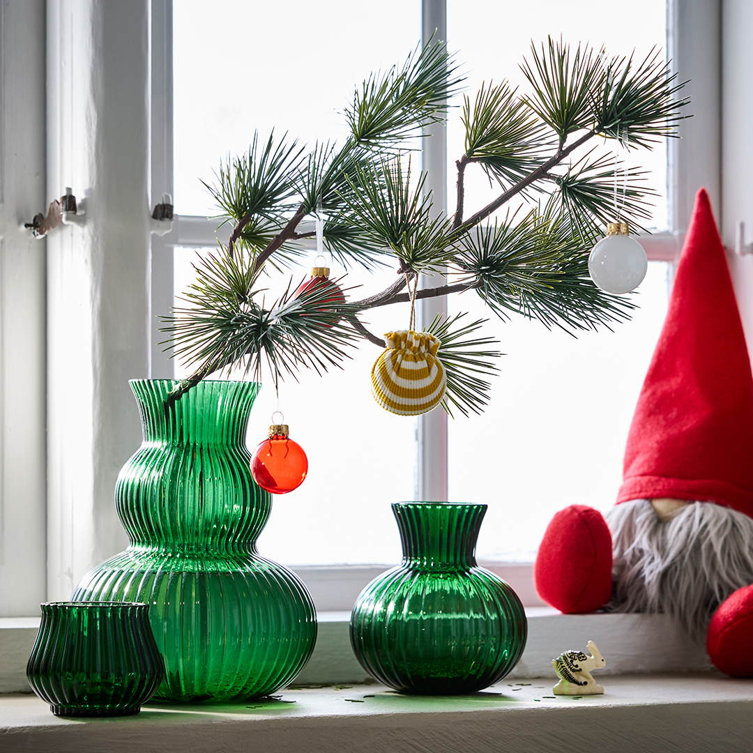 Evergreen branch in a vase