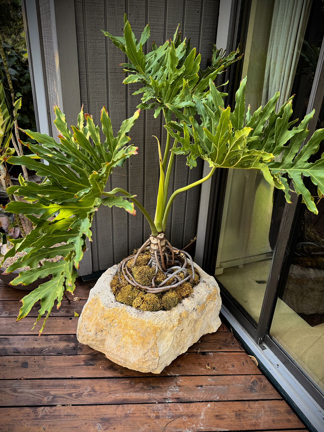 Limestone boulder planter