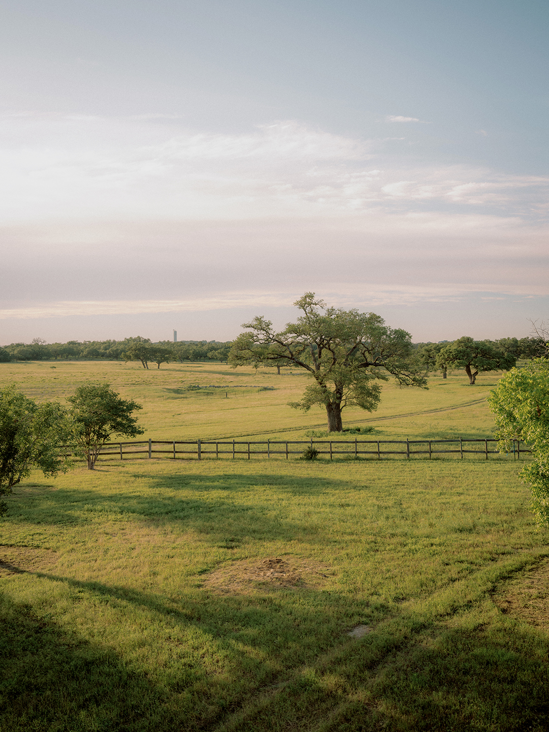 green ranch pastures