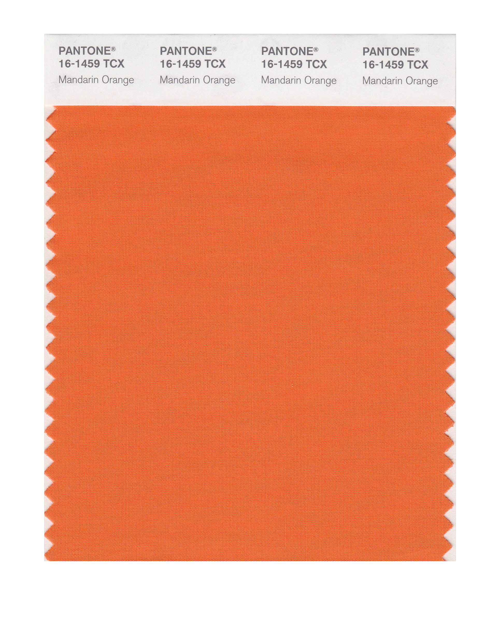 orange swatch