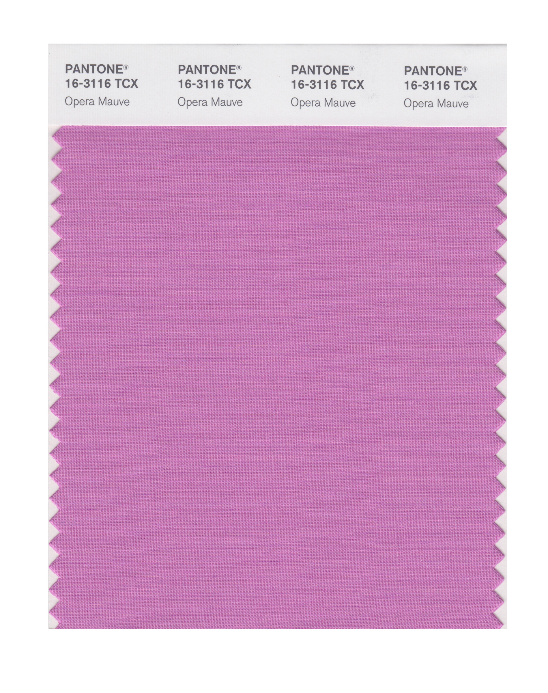 purple swatch