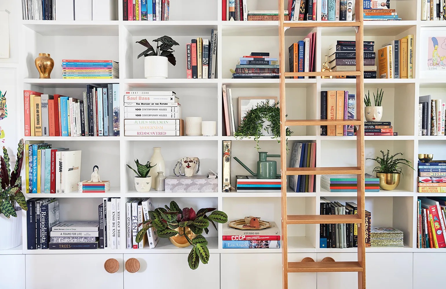 ladder in front of bookcase